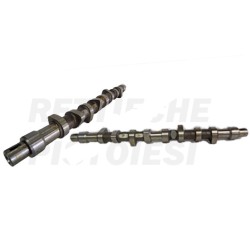 Albero a Camme Nuovo SA 250012 FIAT