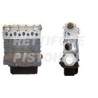 Fiat Ducato 2500 TDI Motore Revisionato Semicompleto 814027