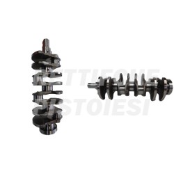 Albero Motore Nuovo Ford 1300 Multijet