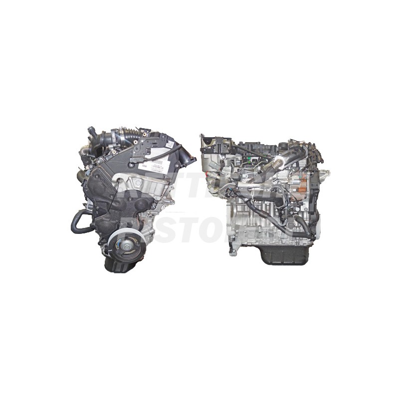 Ford 1600 HDI 8v Motore Nuovo completo T1DA