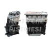 Peugeot 1900 DS  Motore Revisionato Semicompleto DJY