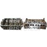 Audi 1900 New Head Naked