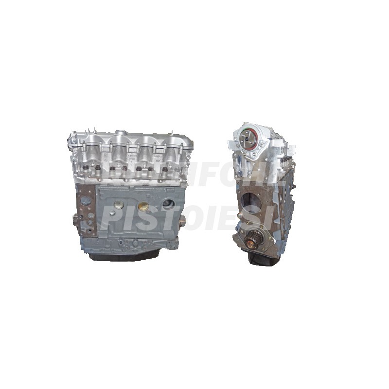 Peugeot 2800 DS Motore Revisionato Semicompleto 814063