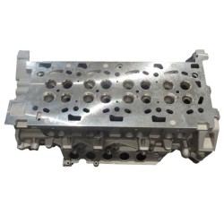 Renault 2300 DS  Testa Nuova Nuda M9T