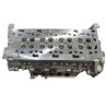 Renault 2300 DS  Testa Nuova Nuda M9T