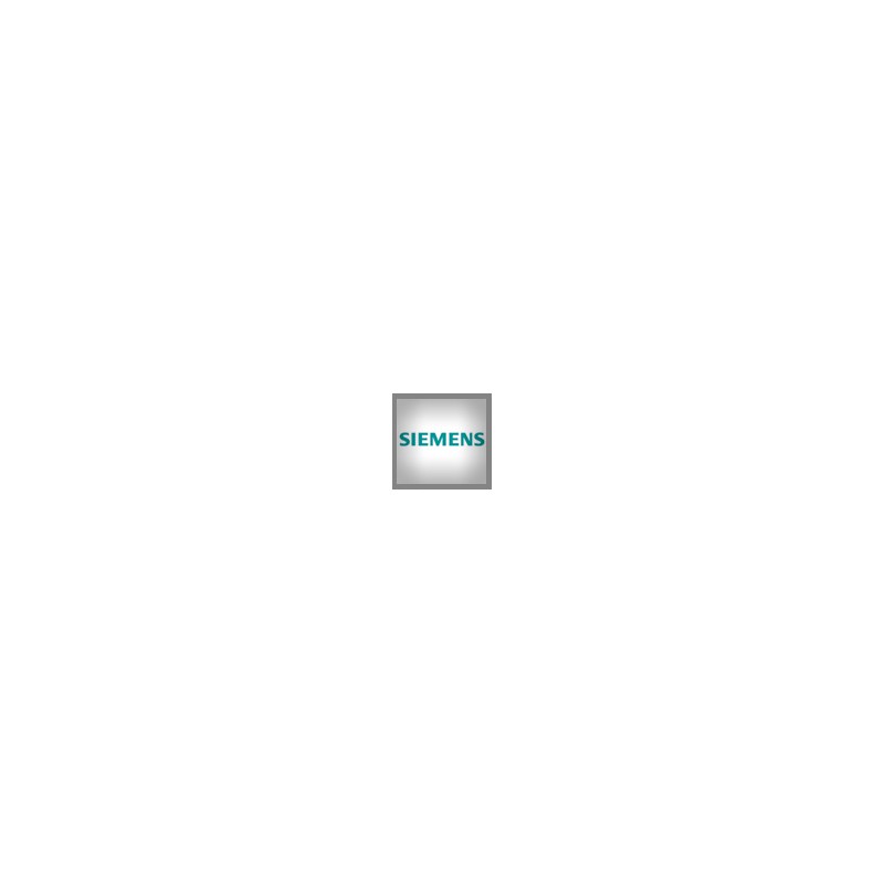 Siemens Iniettori VDO Commonrail Revisionati