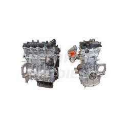 Fiat 1600 HDI 16v Motore Revisionato Completo 9HU